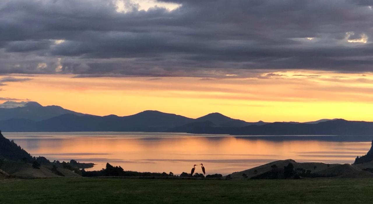 Hilltop Whakaipo Estate Taupo Ngoại thất bức ảnh