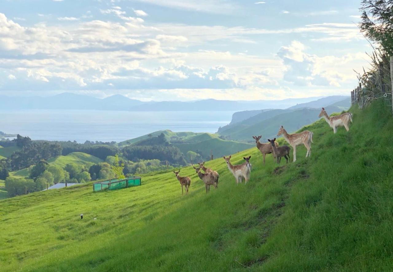 Hilltop Whakaipo Estate Taupo Ngoại thất bức ảnh