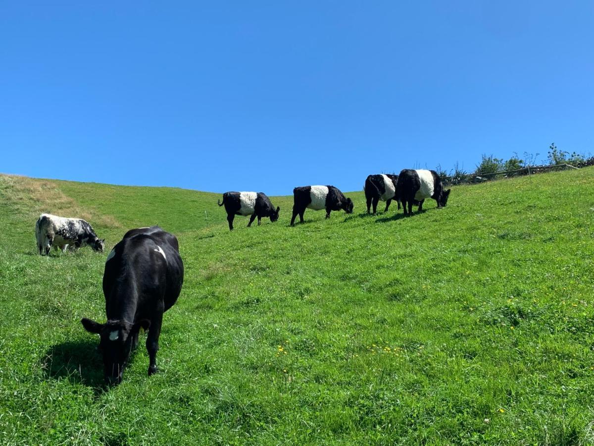 Hilltop Whakaipo Estate Taupo Ngoại thất bức ảnh