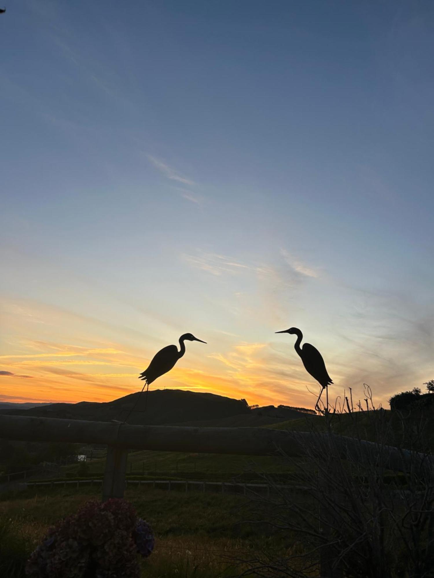 Hilltop Whakaipo Estate Taupo Ngoại thất bức ảnh