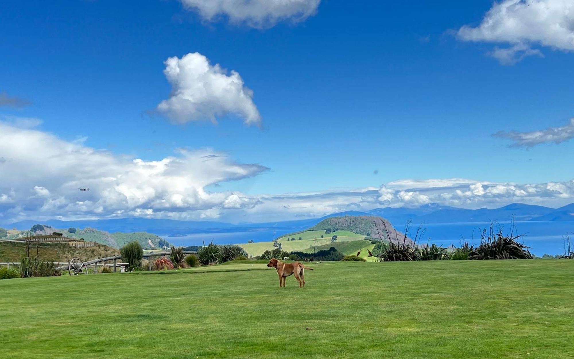 Hilltop Whakaipo Estate Taupo Ngoại thất bức ảnh