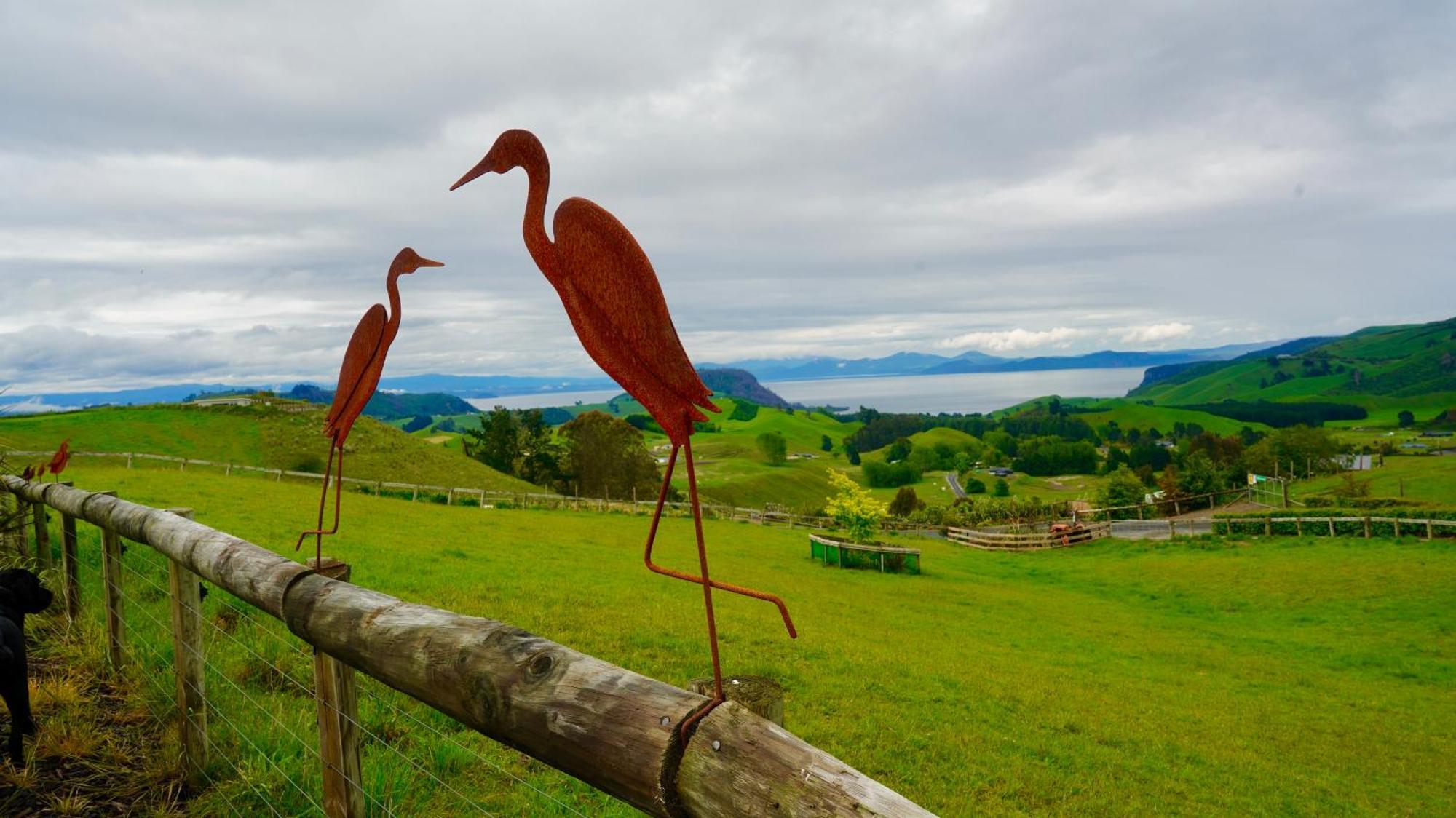 Hilltop Whakaipo Estate Taupo Ngoại thất bức ảnh