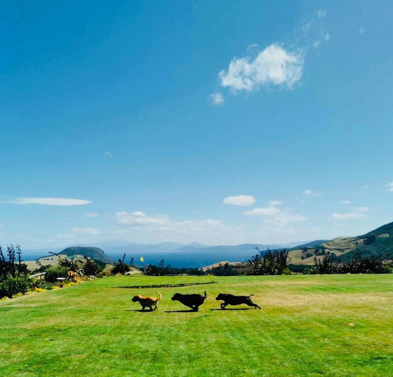 Hilltop Whakaipo Estate Taupo Ngoại thất bức ảnh