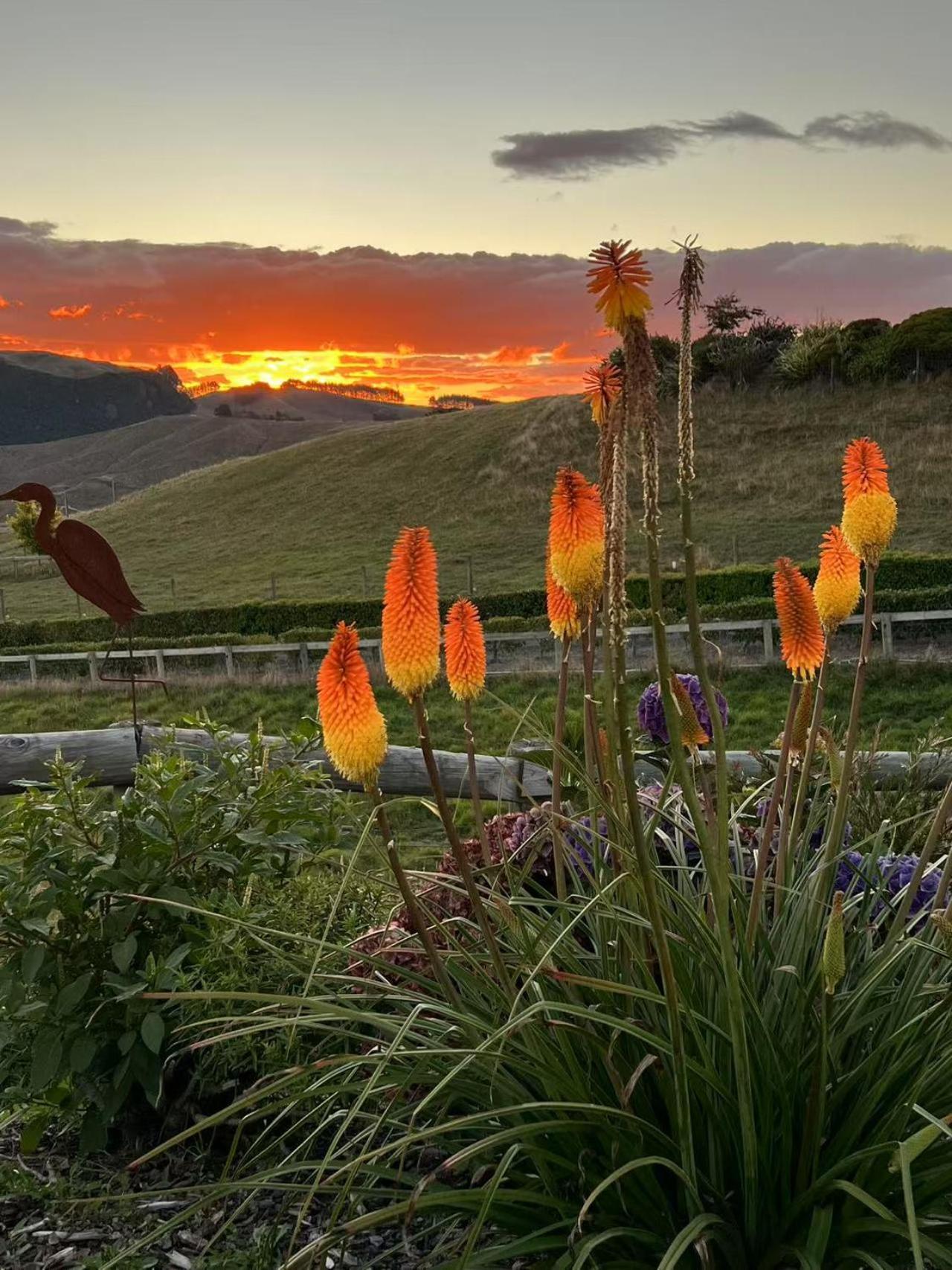 Hilltop Whakaipo Estate Taupo Ngoại thất bức ảnh